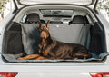 GF Pet Cargo Cover – Waterproof Pet Car Cargo Liner, 50x59"